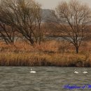 철새박물관 이미지