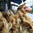 목포랑시티투어 이미지