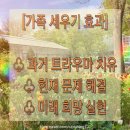가족세우기(기쁨의 근원 세우기)