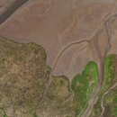 24시 블레스동물메디컬센터 이미지