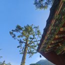 금강암 - 1415 | 금정산 범어사(梵魚寺)/금강암.