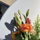 낭만접시 이미지