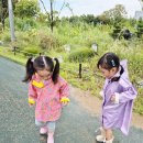 수피아어린이집 이미지