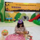 도양-2호 이미지