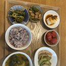 전환마을협동조합 티스토리