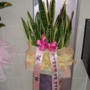 고른이연합치과의원 이미지