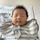 깔끔이이모 이미지