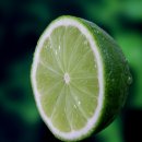 라임스위트 이미지