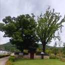 하우명 효자정각 이미지