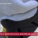 통영미륵펜션 이미지