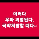 [524]이러다 우파 괴멸된다. 극약처방 할 때다~ 이미지