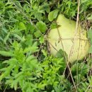 방동농장 이미지