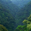 그린에버 이미지