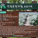 카페이팝
