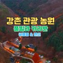 강촌관광농원 이미지