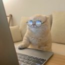 성균관대학교 정보통신대학원 이미지