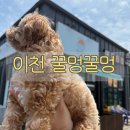 꿀멍꿀멍 이미지