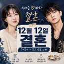 💍 지예은·바타 12월 12일 결혼｜공개열애 인정부터 결혼 발표까지 정리