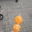 탕후루원마운트