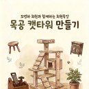 [회원특강] 6/18 목공 캣타워 만들기 이미지
