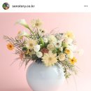 데이지데이플라워스튜디오 이미지