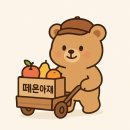 11500-8-18-11 | [공지] (26.04.03) 최고 경매가 25만8천원 K3 메론 데려왔습니다 🍈6년째 최고가, 경매가가 말해주는 맛