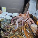 오성해물탕 | (맛집탐방) 수원 매탄동 해물탕 찐 맛집 "군포해물탕" 탐방