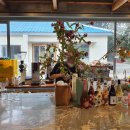 제주스럼 이미지