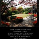일비노로소 네이버블로그