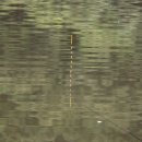 신선낚시터 이미지