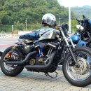 렉스인터내셔널(주) 이미지