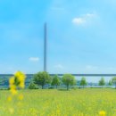 한강시민공원(한강둔치꽃단지) 이미지