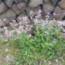 금악리 경로당 이미지