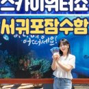 제주 스카이워터쇼 이미지