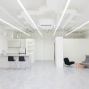 퍼블릭오픈디자인 네이버블로그