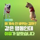 JE(제이이) 보청기 | “무료 정보만 보다가 깨달았습니다” 행동이 안 바뀌던 이유, 변화 속도가 달랐던 결정적 차이