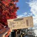 바우밸리 | 가을속초여행│켄싱턴 설악 그리고 설악산 케이블카 요금 운영정보 (feat. 권금성 신흥사)