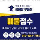 금메달공인중개사사무소 이미지