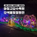 씨유 가평아침고요점 | 가평 아침고요수목원 야간개장 오색별빛정원전 아이와 다녀온 후기