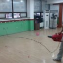 비룡태권도체육관 이미지