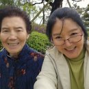 대한제분소 네이버블로그