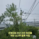 서초대로55길 5 | 전선에닿는나무벌목가지치기