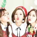 쏭스타 이미지