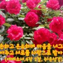 천둥소리