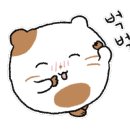 뷰티드림성형외과 이미지