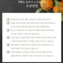추석농장 | 하우스감귤 제주하우스감귤 승환이네농장에서 추석선물 구입 후기
