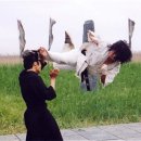 상승합기도특공무술 이미지