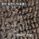 집먼지진드기 퇴치법 ! 고마다와이드에코 이미지