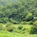 천금농장 이미지