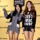 커피보라 이미지
